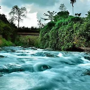 Hotel Rivertree, Munnar